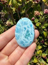 Load image into Gallery viewer, Larimar Oval 168J