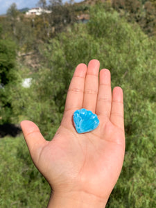 Larimar Shell