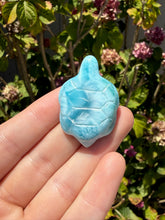 Load image into Gallery viewer, Larimar Turtle 100TU