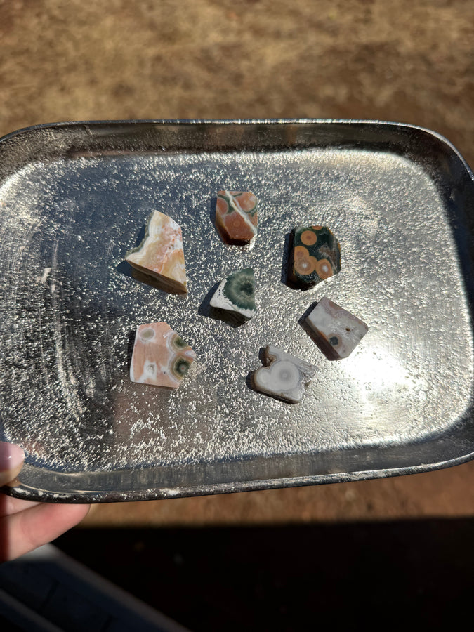 Ocean Jasper Intuitively Selected 12AS