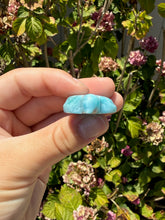 Load image into Gallery viewer, Larimar Turtle 100TU