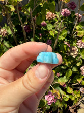 Load image into Gallery viewer, Larimar Turtle 60PK