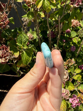 Load image into Gallery viewer, Larimar Cab 276H