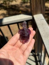 Load image into Gallery viewer, Amethyst Phantom Turtle 40X