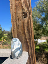 Load image into Gallery viewer, Orca Agate Dome