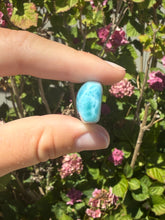 Load image into Gallery viewer, Larimar cab