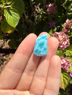 Larimar cab