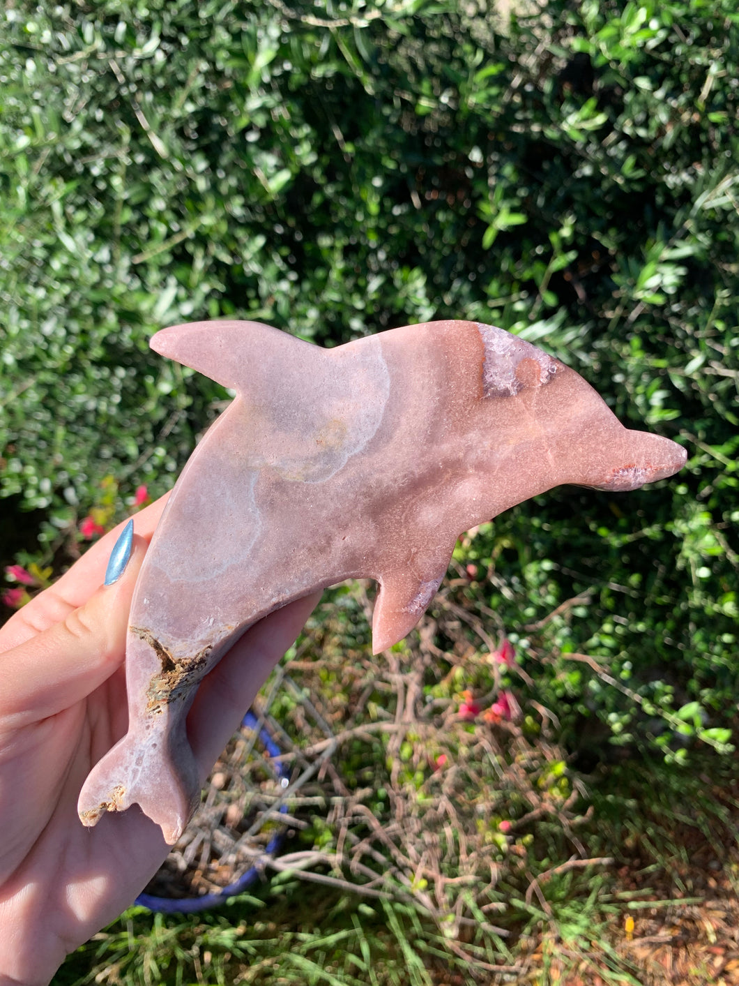 Pink Amethyst Dolphin