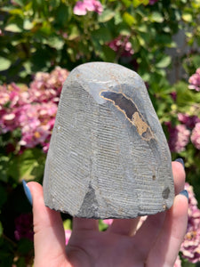 Druzy Purple Amethyst Cut Base