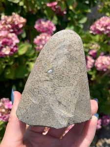 Druzy Purple Amethyst Cut Base
