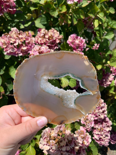Agate Slice
