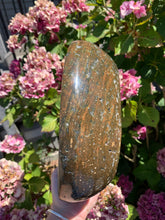 Load image into Gallery viewer, Ocean Jasper Bowl