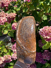 Load image into Gallery viewer, Ocean Jasper Bowl
