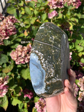 Load image into Gallery viewer, Ocean Jasper Bowl