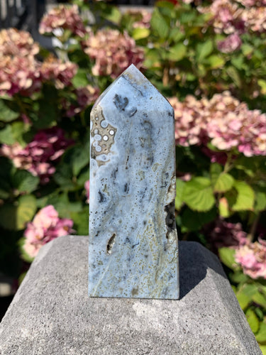 Ocean Jasper Tower