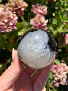 Black Flower Sphere