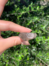Load image into Gallery viewer, Black Tourmaline Double Terminated Quartz