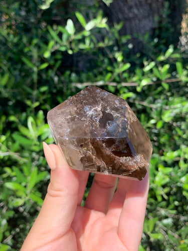 Smokey Quartz Geometric with Phantom Lodolite