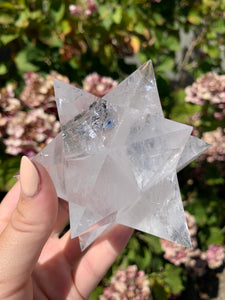 Tetrahedron Star