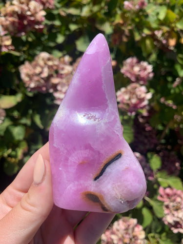 Pink Aragonite Freeform