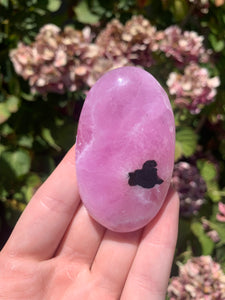 Pink Aragonite Palm Stone