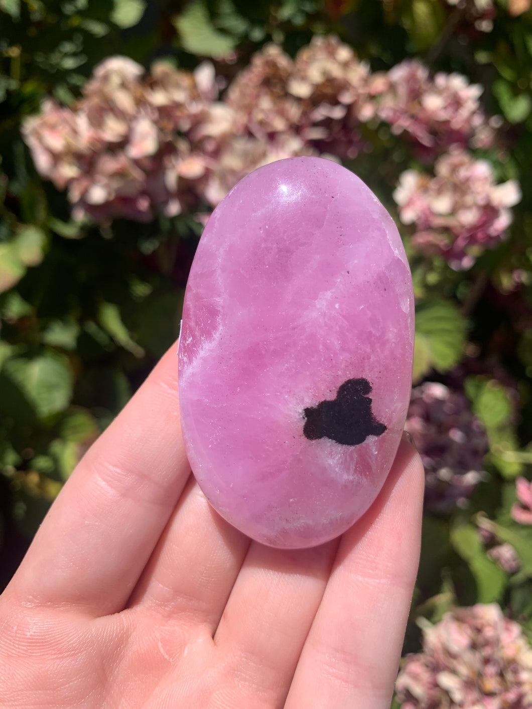 Pink Aragonite Palm Stone