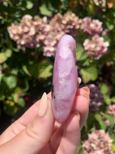 Pink Aragonite Palm Stone