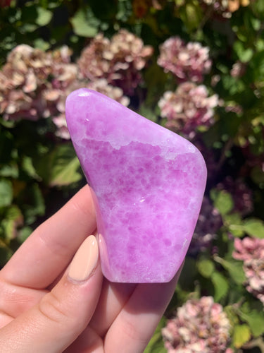 Pink Aragonite Freeform