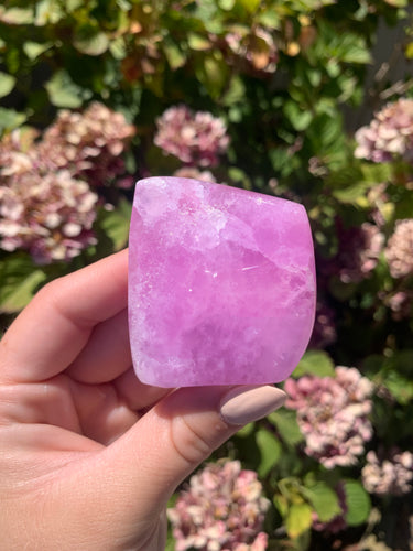 Pink Aragonite Freeform