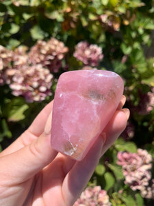 Pink Aragonite Freeform