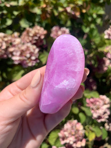 Pink Aragonite Freeform