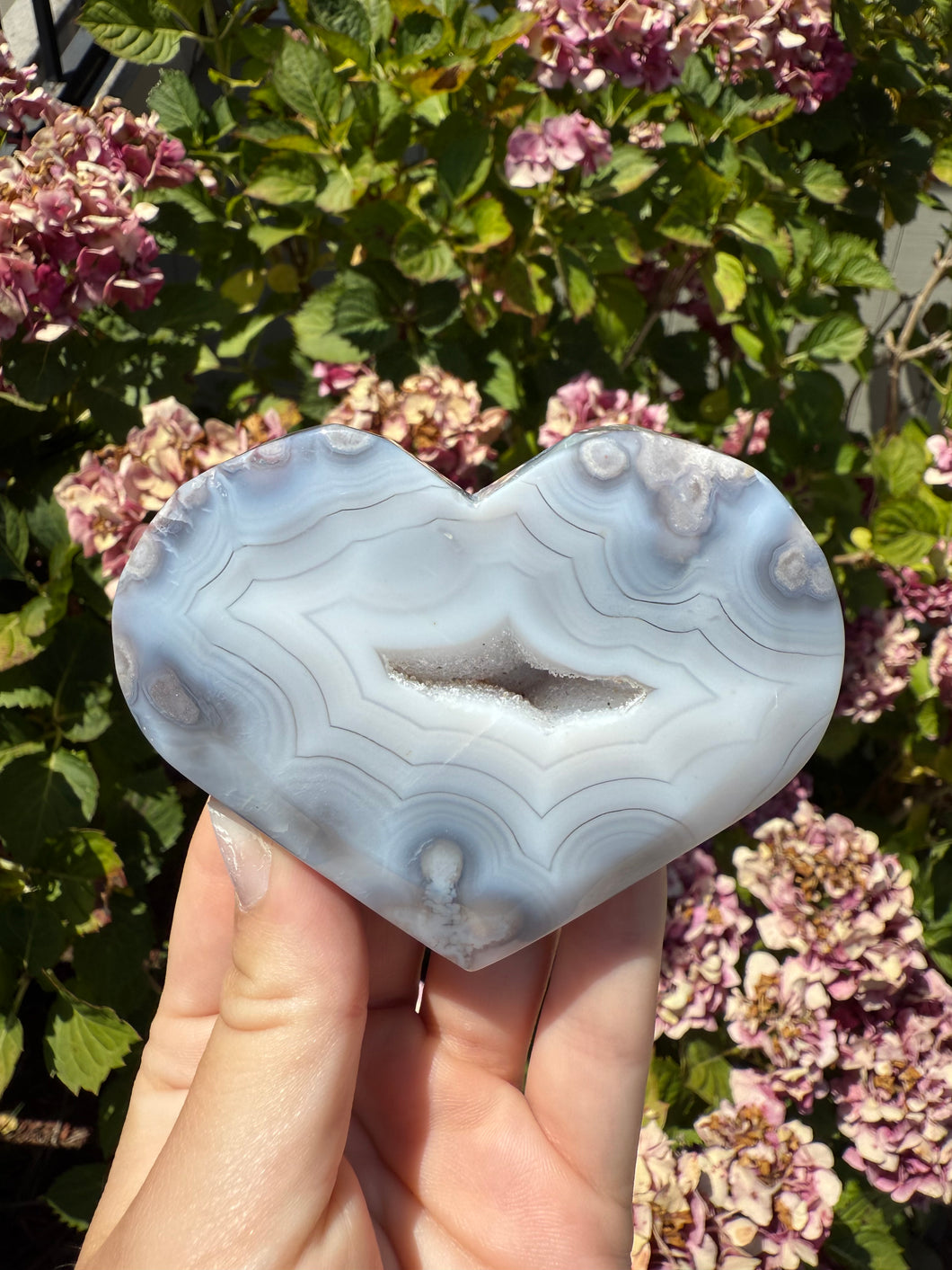 Flower Agate Heart