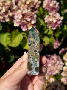 Ocean Jasper Tower