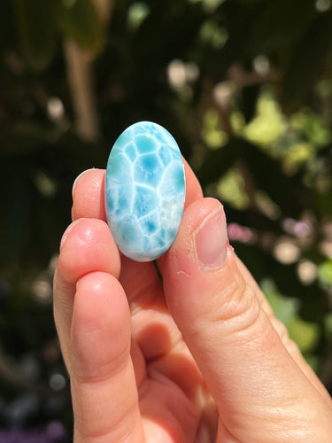 Larimar Oval
