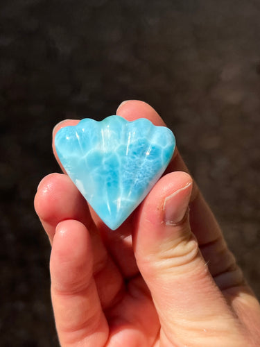 Larimar Shell