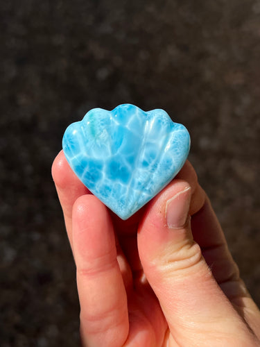 Larimar Shell