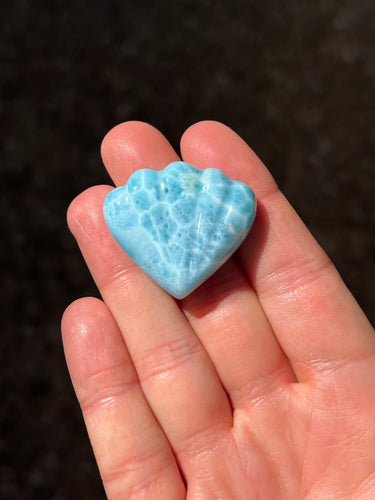 Larimar Shell