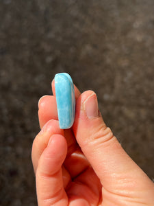 Larimar Shell