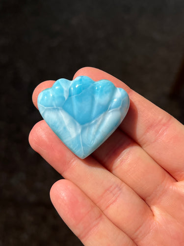 Larimar Shell