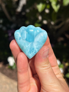 Larimar Shell