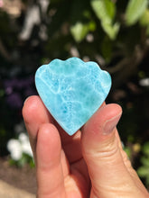 Load image into Gallery viewer, Larimar Shell