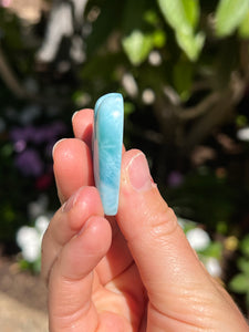 Larimar Shell