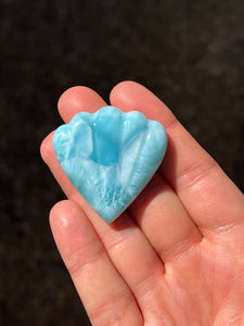 Larimar Shell