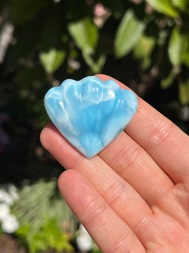 Larimar Shell