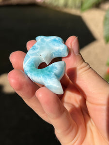 Larimar Dolphin