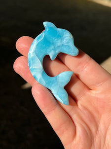 Larimar Dolphin