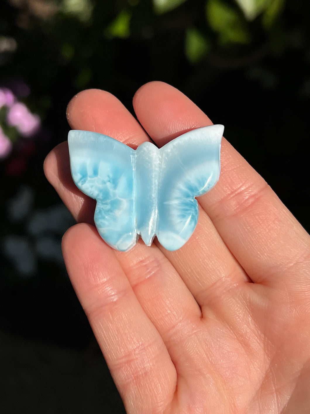 Larimar Butterfly #3