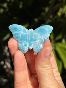 Larimar Butterfly #2