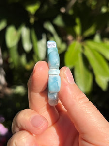 Larimar Butterfly #2