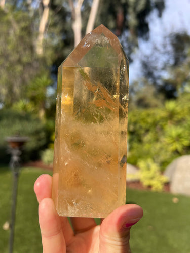 Citrine Tower MI